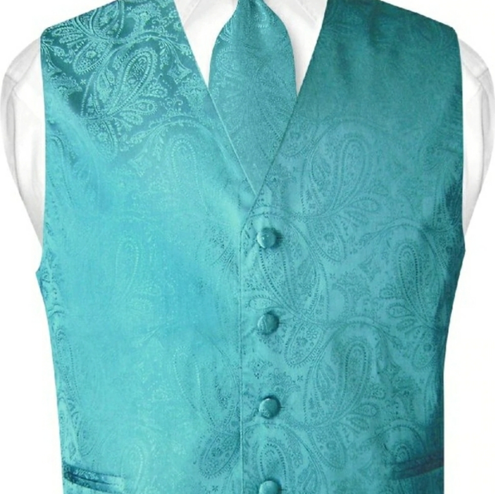 Steven Land vest
